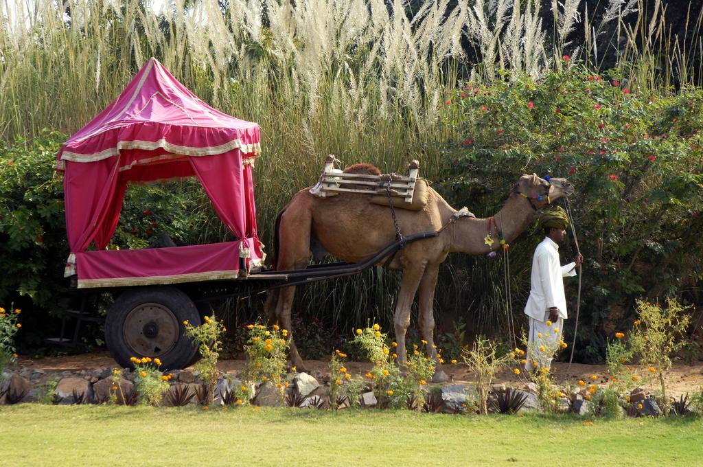 Pushkar Resort Екстер'єр фото