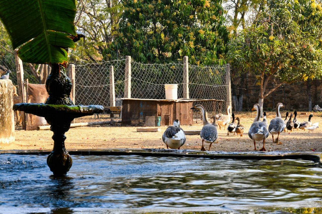 Pushkar Resort Екстер'єр фото