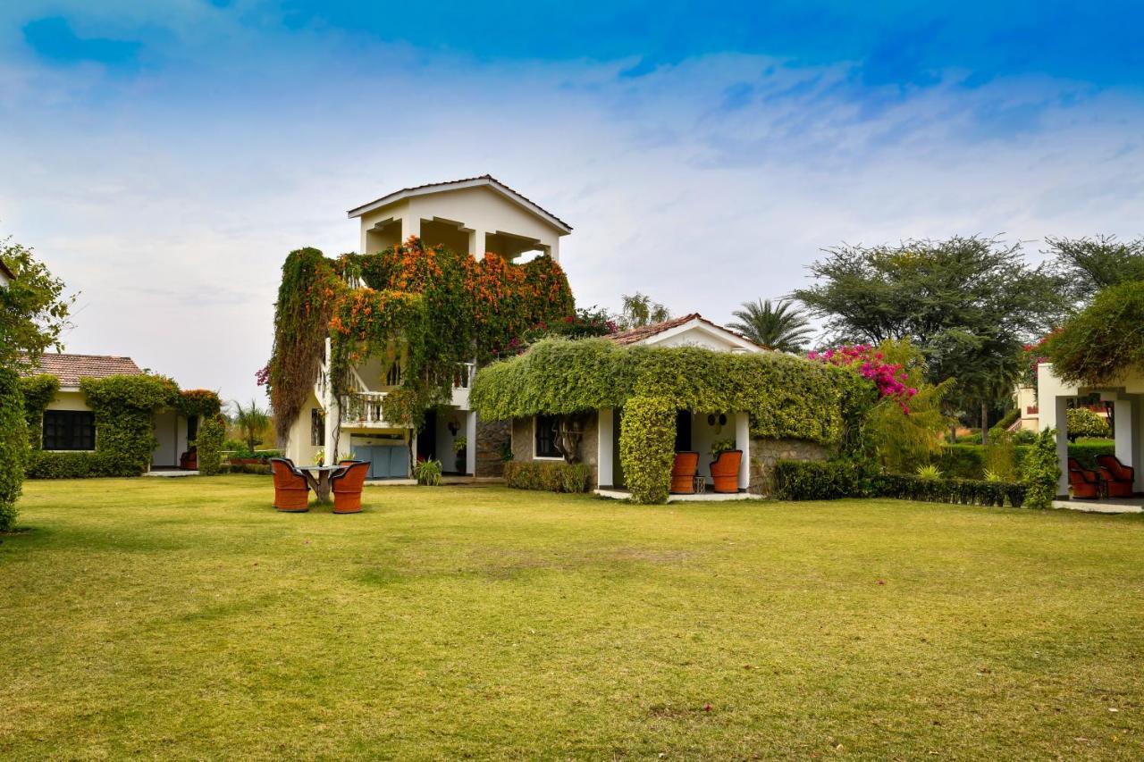 Pushkar Resort Екстер'єр фото